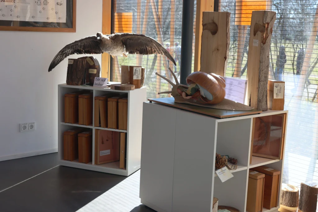 Innenraum mit Ausstellungsstücke