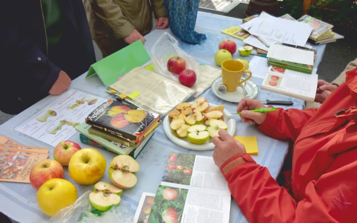 Tisch mit Menschen und aufgeschnittenen Äpfeln