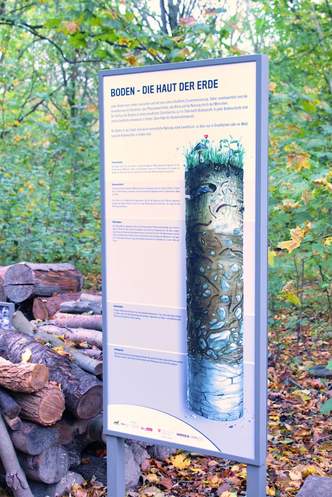 Infotafel im Wald