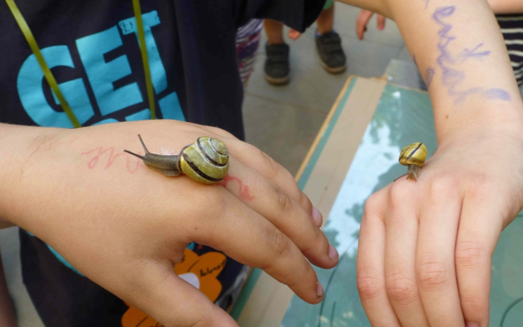 Zwei Arme auf denen jeweils eine Schnecke drauf sitzt