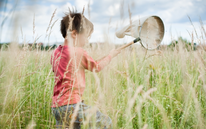 Kind läuft mit Schmetterlingsnetz durch Gras
