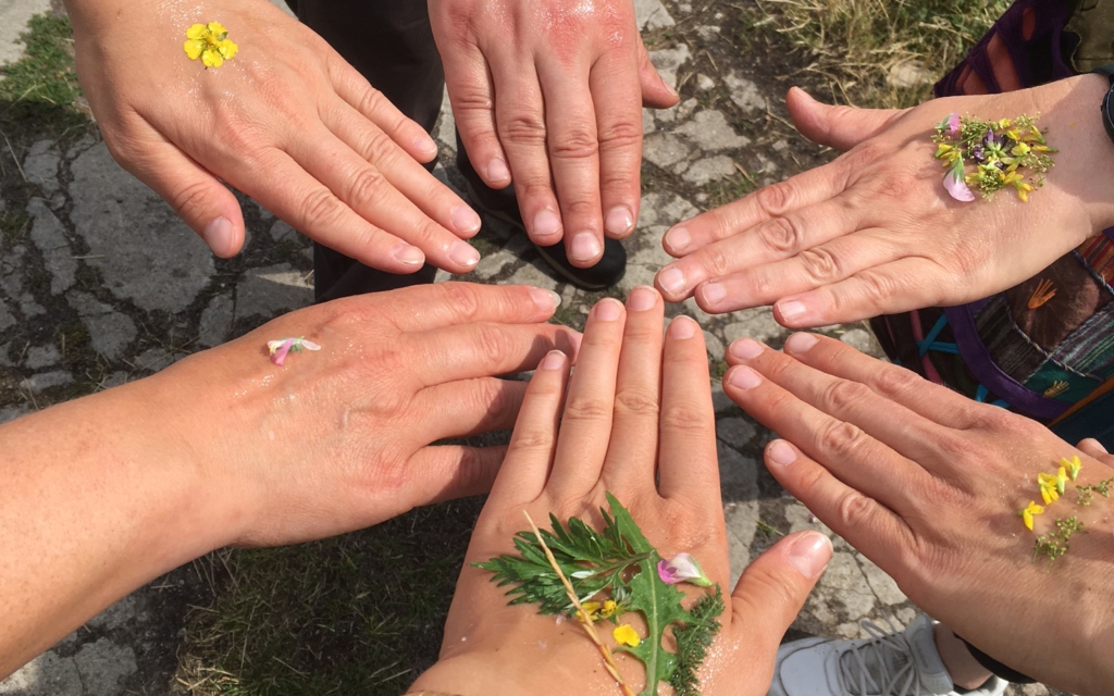 Sechs Hände, die in einem Kreis angeordnet sind und auf denen Blumenblüten draufliegen