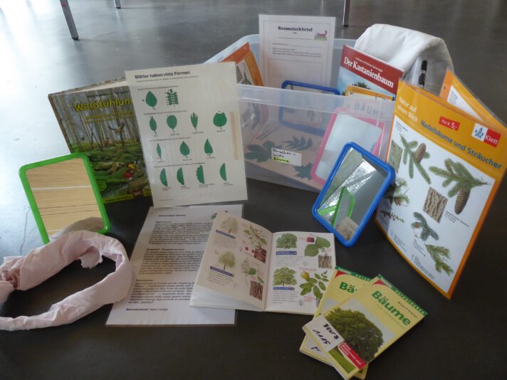 Kiste mit diversen Forschungsmaterialien zum Thema Wald