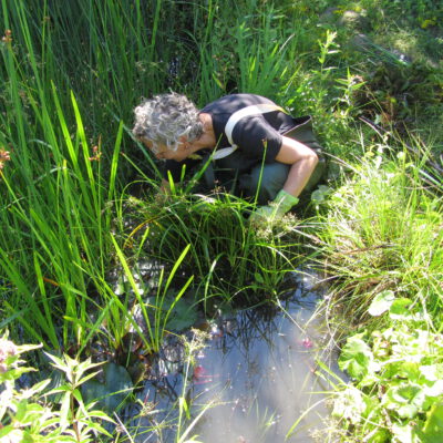 Person erledigt Gartenarbeit