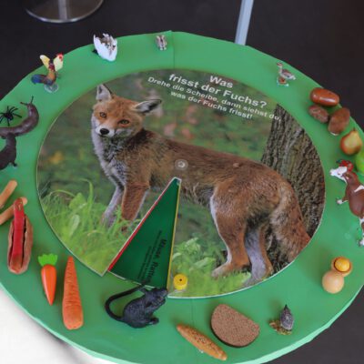 Ausstellung im Umweltbildungszentrum im Innenbereich